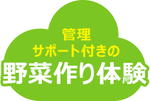 管理サポート付きの野菜作り体験