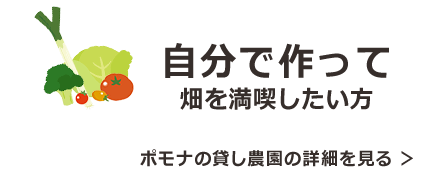 自分で作って畑を満喫したい方 ポモナの貸し農園の詳細を見る