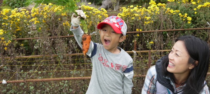 2016年4月スタート野菜作り体験会員募集　年末の説明会開催日程