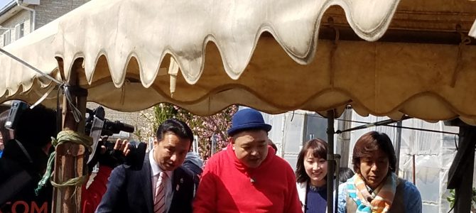 「東京生テレビ」【17/3/18号】江戸東京こがねいまちナビ 「東京生テレビ」【17/3/18号】江戸東京こがねいまちナビ