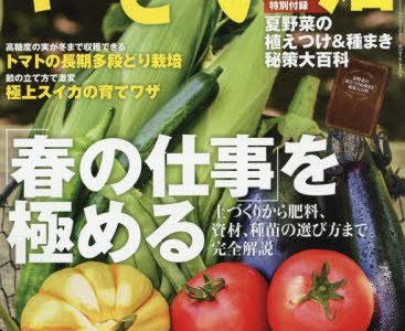 やさい畑 春号の表紙にのりました やさい畑 春号の表紙にのりました