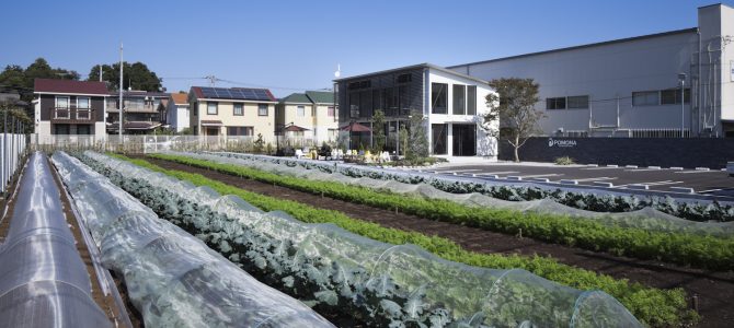 2018年度の野菜作り体験会員（貸農園会員）募集開始しました。