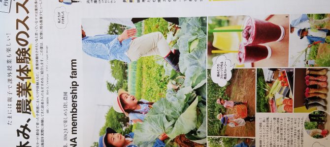 女性誌VERYにポモナの記事が掲載されました 女性誌VERYにポモナの記事が掲載されました