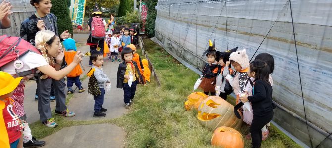 保育園園児のハロウィンパレード