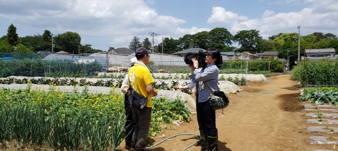 TOKYO MXニュースの取材がありました。 TOKYO MXニュースの取材がありました。