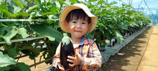 2026年度 貸農園会員募集開始 2026年度 貸農園会員募集開始